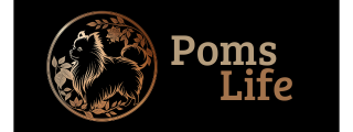 Pomslife